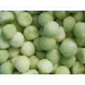IQF Frozen Honeydew green melon ball